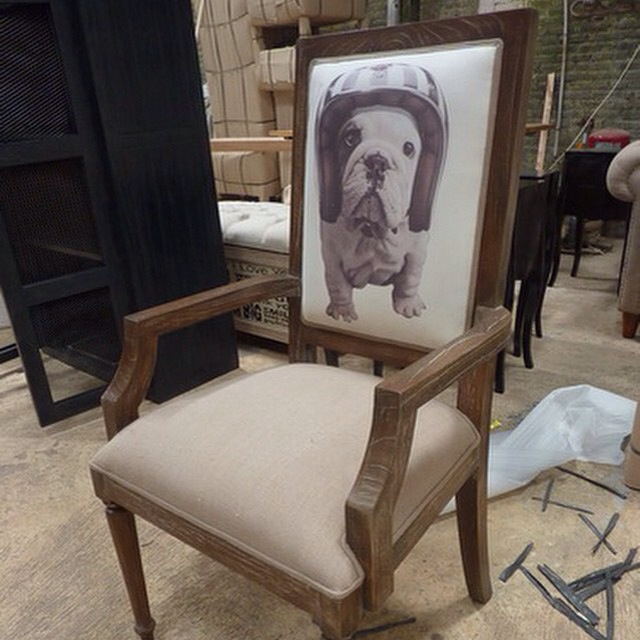 Dog Vintage Dining Chair